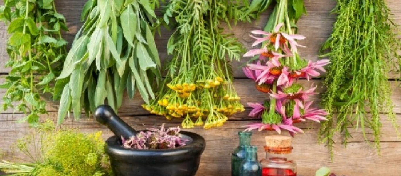 Τα πέντε βότανα που αυξάνουν τη θρεπτική αξία των φαγητών